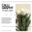 기초 드로잉[B반] 이미지