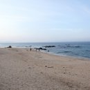 대관령솔내음오토캠핑장 이미지