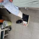 구로-구로-구로-2779 이미지