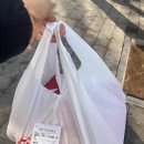 탐나는피자 인천1호점 | 구월동피자 맛집 발견! 토요일 점심에 즐긴 탐나는 피자 솔직후기 🍕