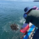 설문목장 이미지