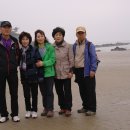 진너머해수욕장 Daum카페