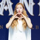 다원미디어 이미지
