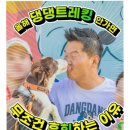 댕댕랜드 | [2025 댕댕트레킹 내돈내산 참가후기] 돼지마리, 3km 산행을 하다.