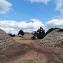 제주 삼양동 유적 이미지