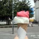피플스토리민박 | 프롤로그 : [유럽여행] 파리,스위스,이탈리아 3개국 2주간의 유럽여행 기록