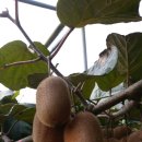 갈마농장 이미지