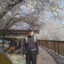 안민고개길 이미지