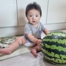 행복한집마트 네이버블로그