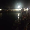 법환동-13 네이버블로그