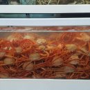 백경횟집 네이버블로그