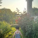 바다담은정원 이미지