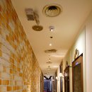 날라리공룡노래연습장 이미지