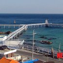 울진시범바다목장해상낚시 이미지