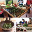 차향마을 이미지