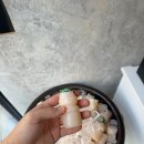 청운정육 | 부천옥길동삼겹살 가성비 최고 청운정육식당 후기