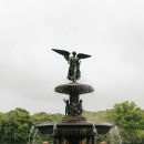 고대1111 이미지