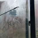 그린빌크리닝 | 미추홀구 숭의동 정동그린빌