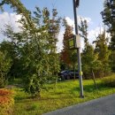 흑염소목장 이미지