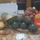 조미영농장 이미지