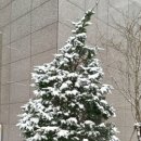 인앤박 번역행정사 사무소 이미지