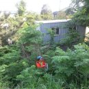 해병 제1상륙사단 이미지