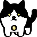 금여 | ** 고양이캔 종류별로 추천 [ 스케지어 네이처 캣 캔 ] 금여 후기 !!! **