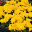 해성농원 이미지