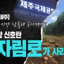 [실시간 제주] "제2공항 신호탄, 비자림로가 사라진다!" 지방선거기간 남몰래 공사 재개? 이미지