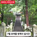 여행 | 하동 쌍계사 여름 여행 후기