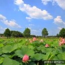 연꽃단지 화장실 이미지