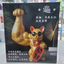 바른온누리약국 이미지