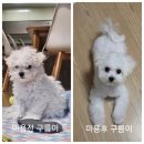 금동살롱 이미지