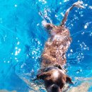 해랑집밥 이미지