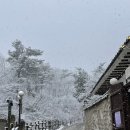 536 | [결혼준비] 서울 스몰 야외 웨딩 베뉴 추천! 상담 후기 (아로웨딩, 선운각, 스페이스536, 아델라베일리)