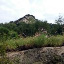 화랑대약국 이미지