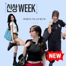 예일기획 - 중구 마른내로6길 18-16 | 에이블리 신상위크 총 정리 할인쿠폰부터 단독상품까지 프로예민러 신상 쇼핑몰 추천