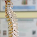 한마음한의원 이미지