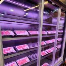 금강송한우프라자 이미지