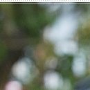 마디한방병원 이미지