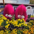 인천시청 열린광장 이미지