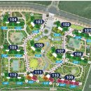 보람동_보람초등학교 앞 정류장 이미지