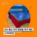 선수 출신 코치가 상주하는 방화동 탁구 레슨 머신 탁구 스카이비전 탁구 취미 엄마의 레슨 후기