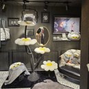 여기조아호텔 | 지디 조아용팝업 지드래곤 조앤팝업 윈터컬렉션 홍대 사전예약 성공 찐후기