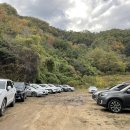 여울애꽃물들인 이미지