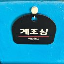 서당길 | [주문진] 스끼다시 없는 주문진 대게 맛집 | 주문진 게네집 내돈내산 후기