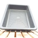 그린피아 이미지