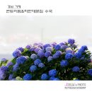 썬트리팜 티스토리