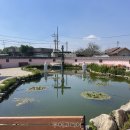 (주)힐링코리아 이미지