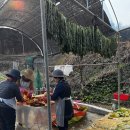 동탄성모병원 | 7세 노로바이러스 동탄 성모병원 입원 후기